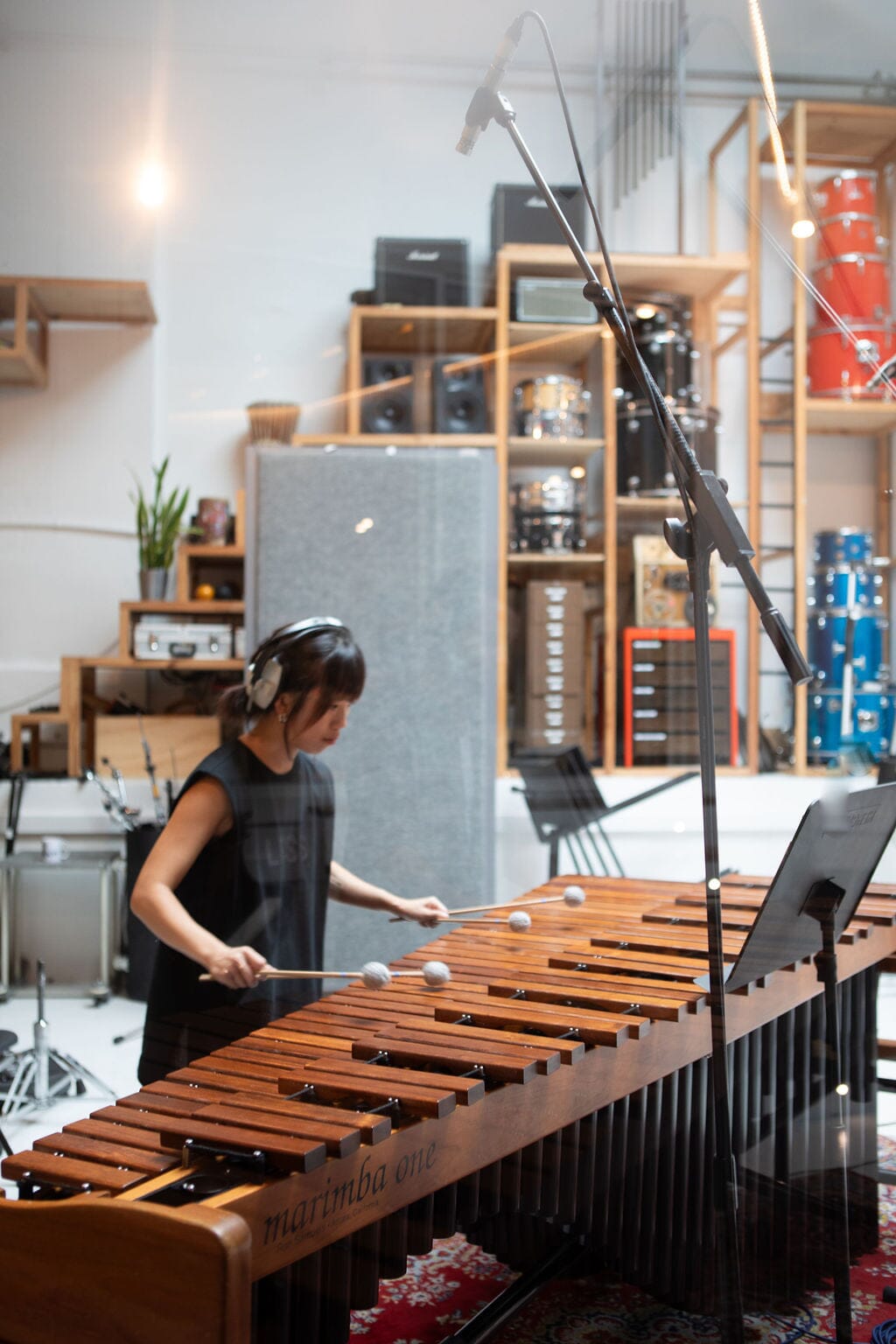 The System Made Me Do It: Nine Pieces for Two Marimbas CD Delphian Records