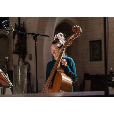 17th-Century Sonatas from the Düben Collection CD Delphian Records