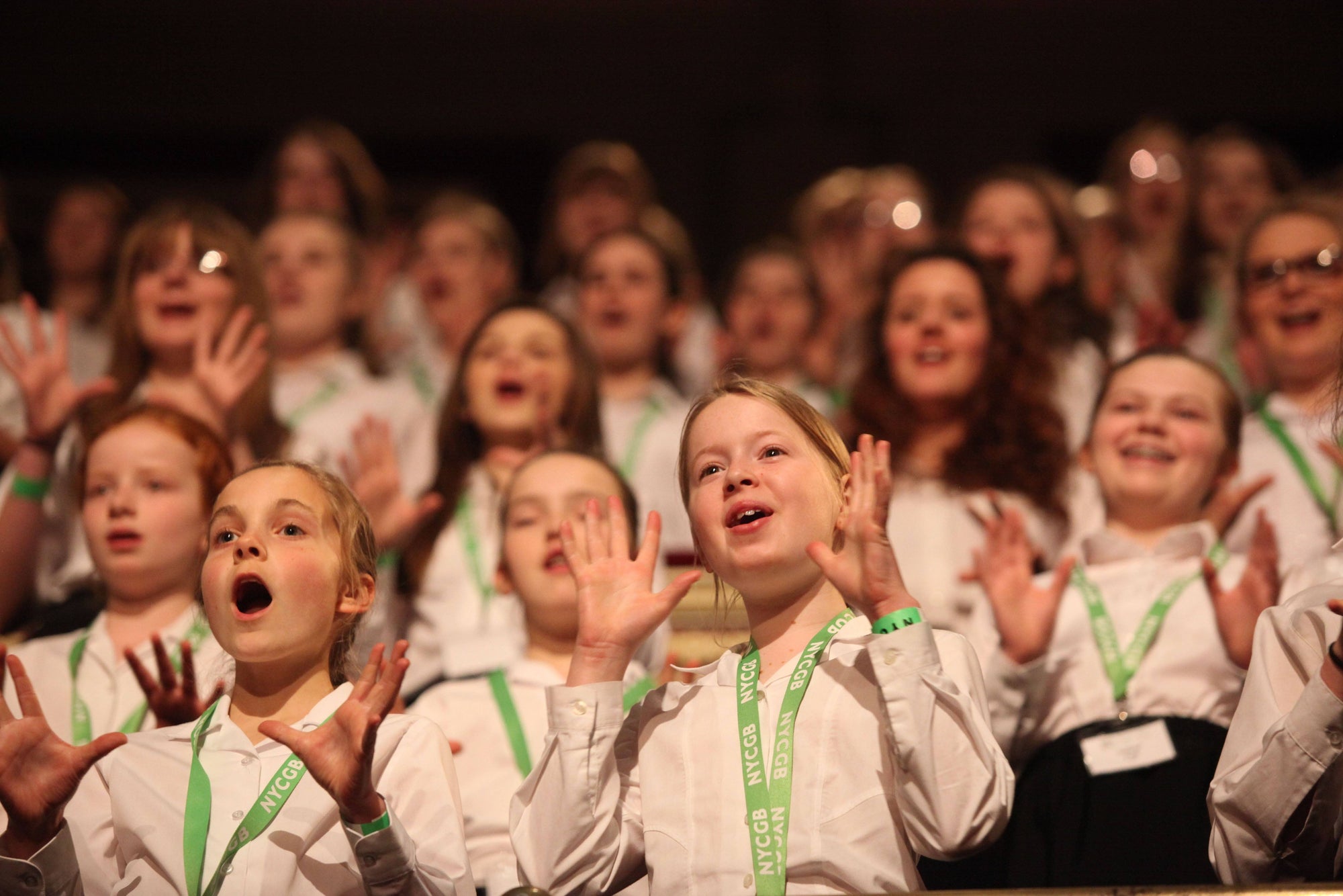 A Festival of Britten CD Delphian Records