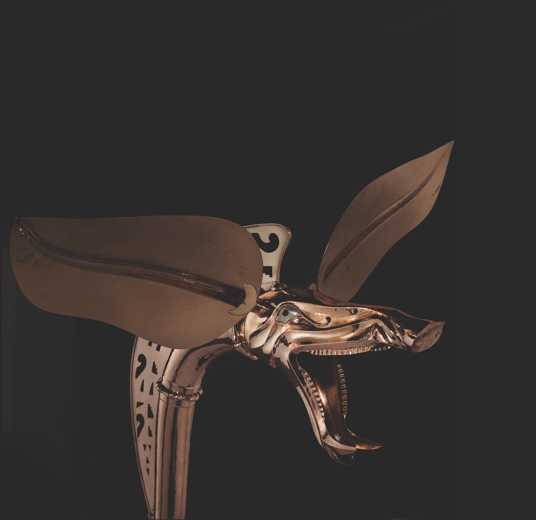 Dragon Voices: the giant Celtic horns of ancient Europe CD Delphian Records