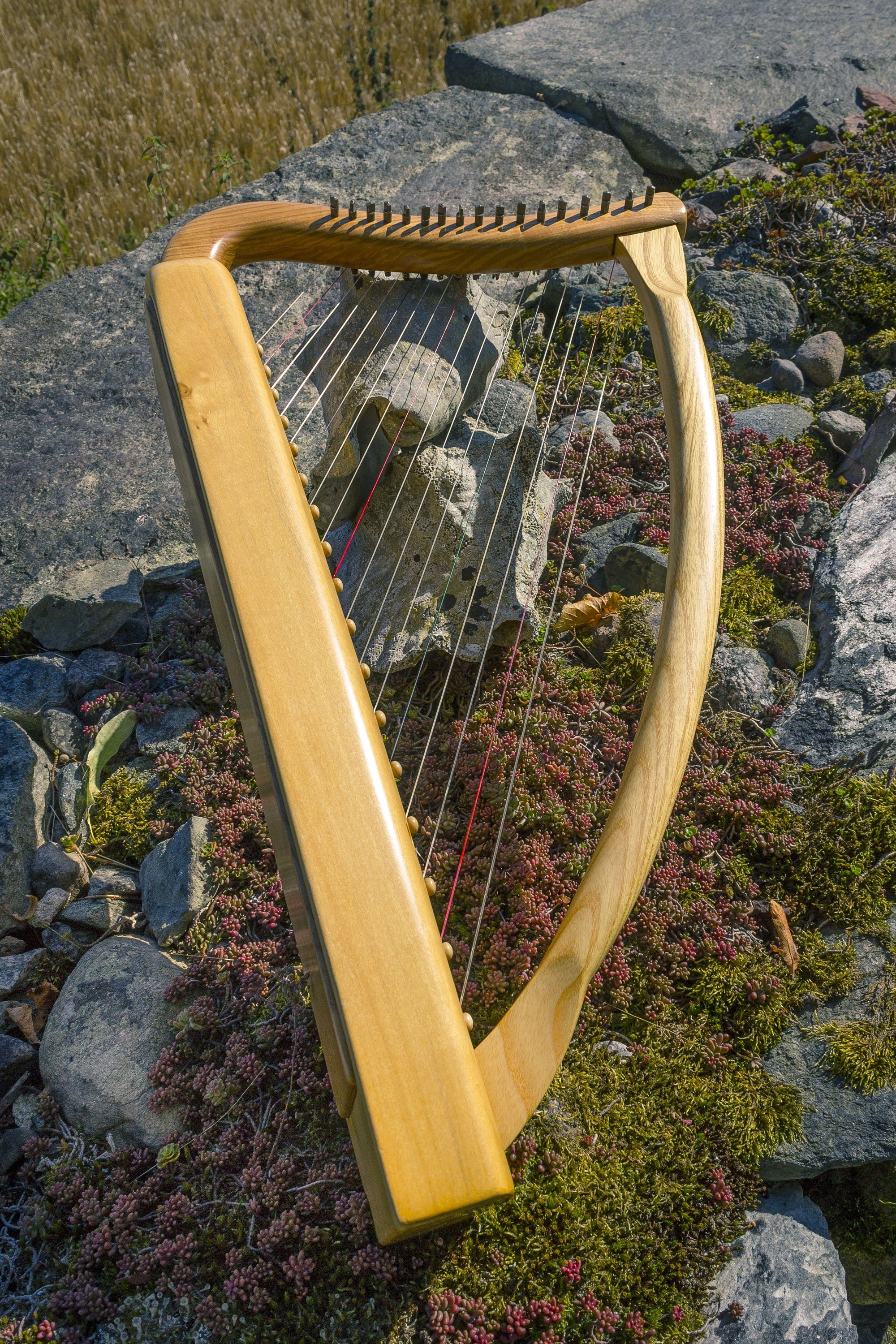 Ice and Longboats: ancient music of Scandinavia CD Delphian Records