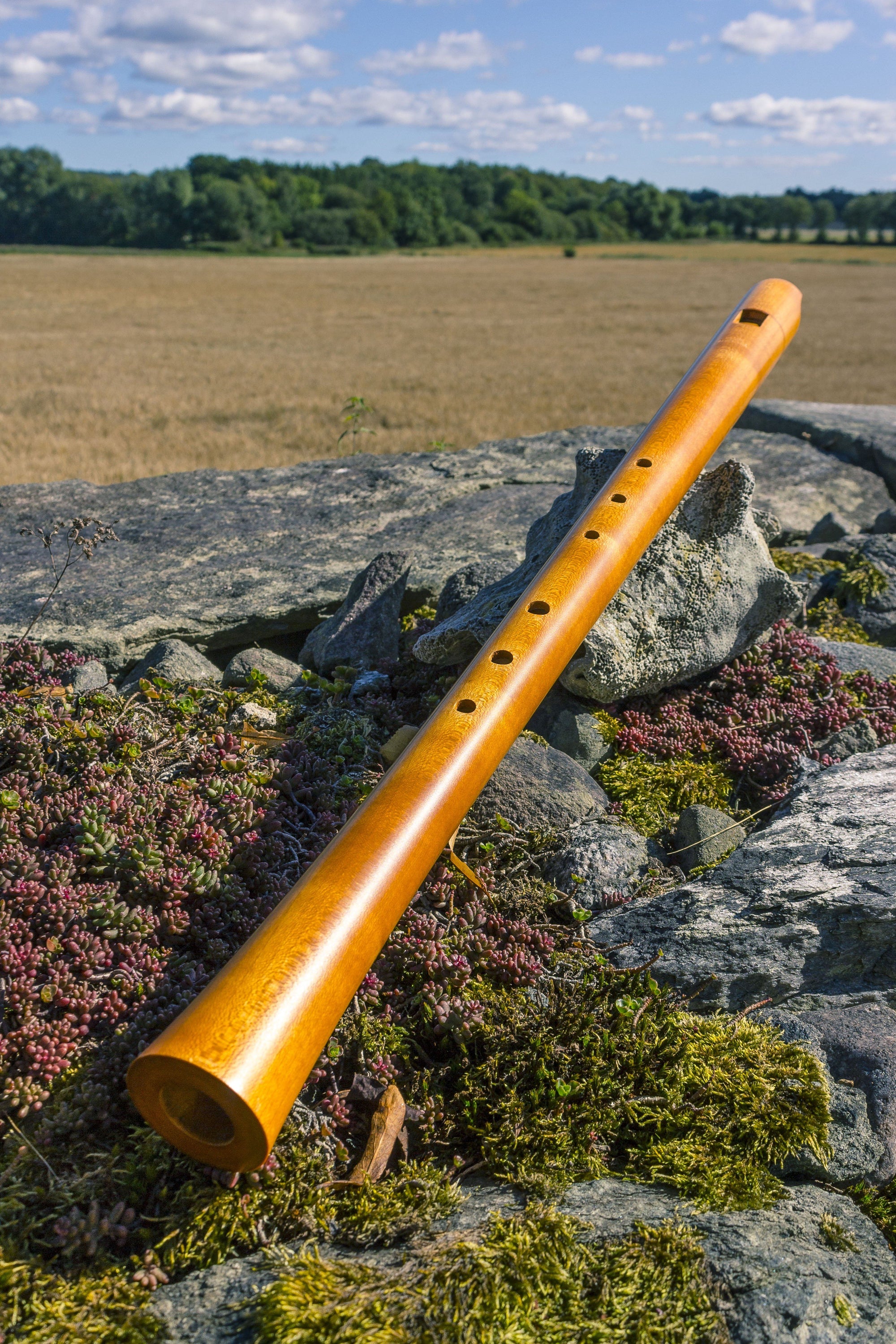 Ice and Longboats: ancient music of Scandinavia CD Delphian Records