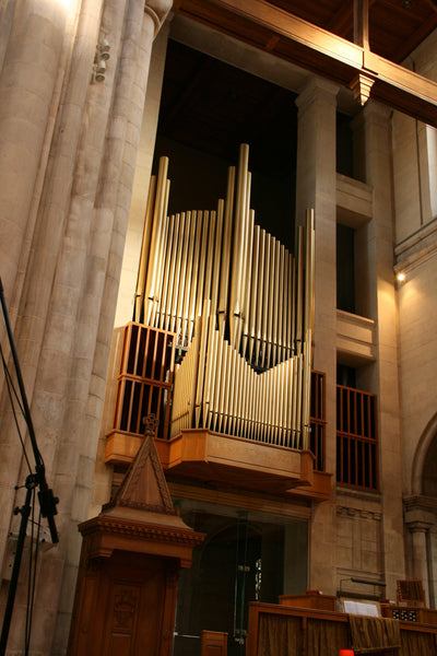 Into this world this day did come: carols contemporary & medieval CD Delphian Records