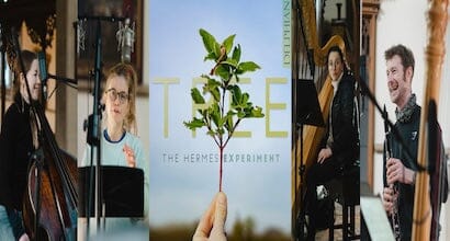 The Strad interview with Marianne Schofield from The Hermes Experiment