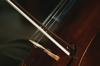 Look How Brightly: Chamber Music by Alex Mills CD Delphian Records