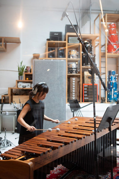 The System Made Me Do It: Nine Pieces for Two Marimbas CD Delphian Records