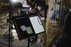 TREE CD Delphian Records