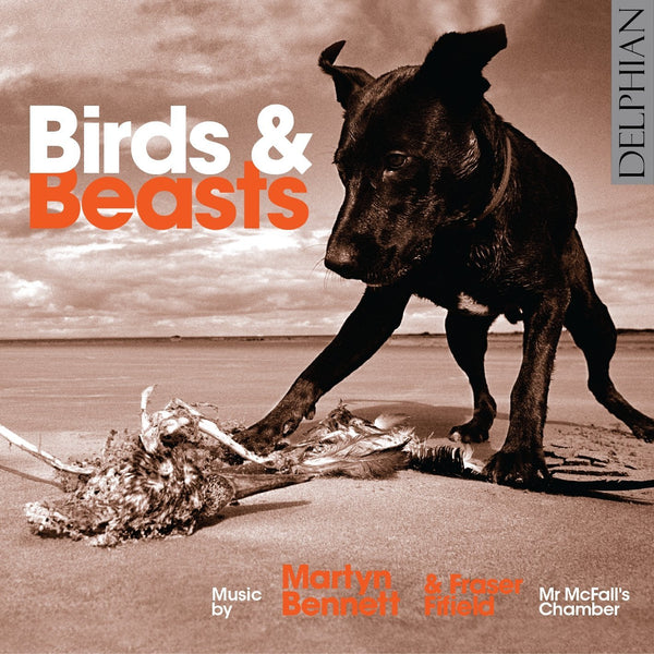 MUGAMICHILL ムガミチル Birds CD birds-beasts-music-by-martyn-