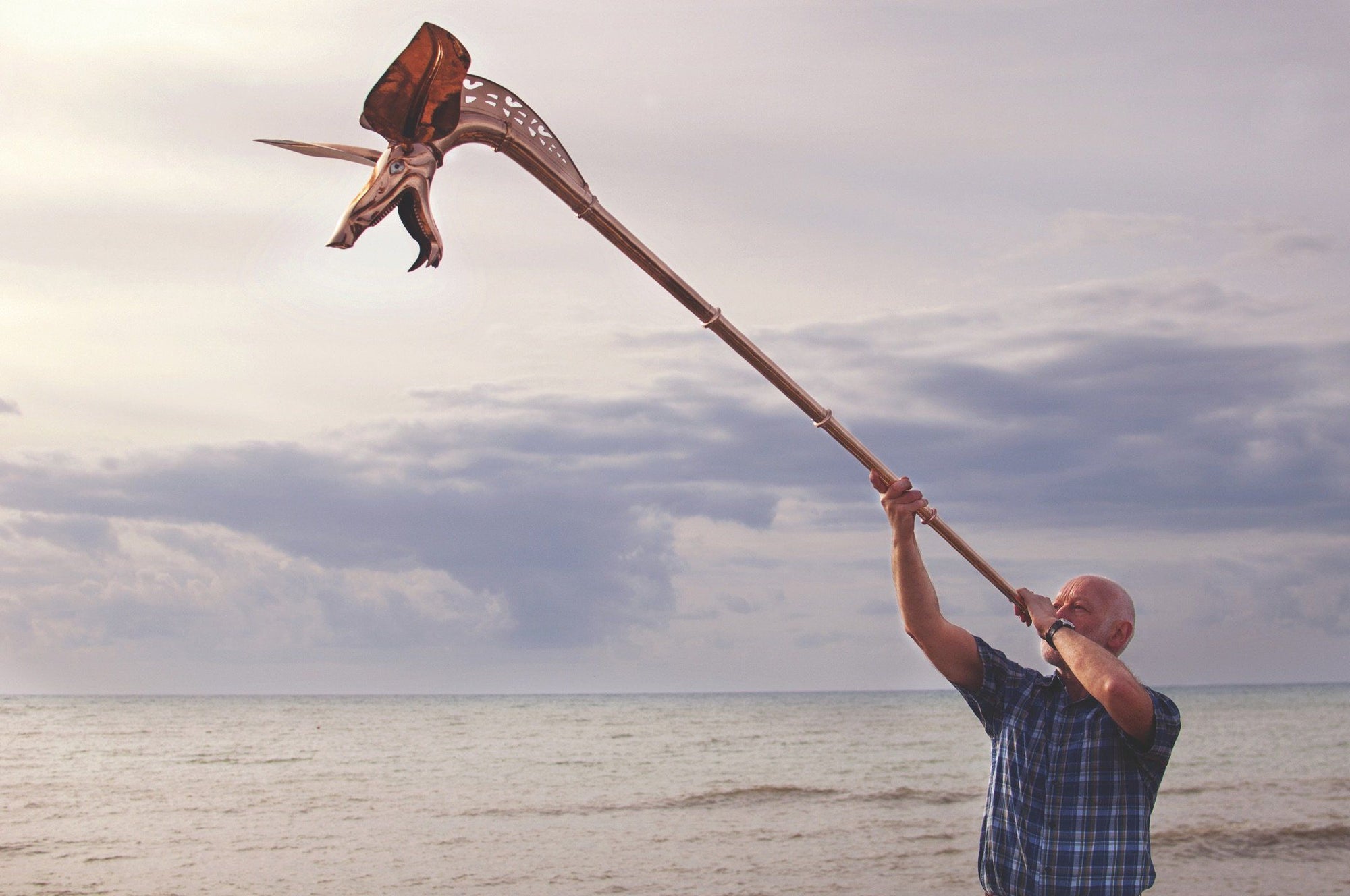 Giant horn instrument on sale